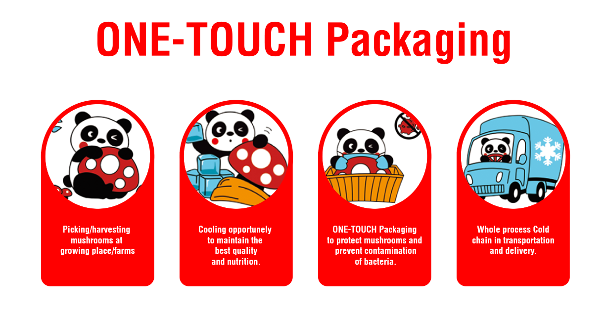 ien touch packing
