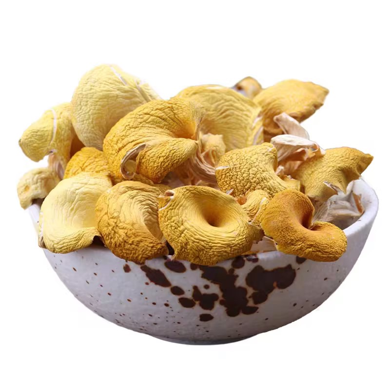 dried wild chanterelle mushrooms