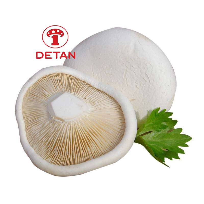 fresh white king oyster mushroom